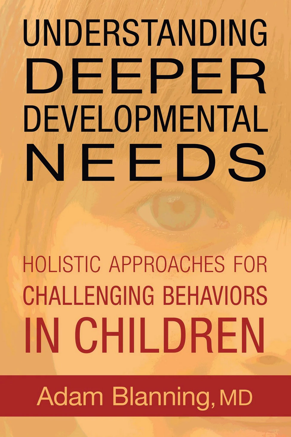 Understanding Deeper Developmental Needs Holistic Approaches for Challenging Behaviors in Children by Adam Blanning