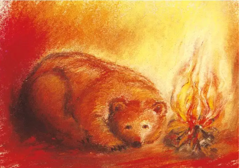 The Bear (from Snow White and Rose Red) 1 postcard- 95254210
