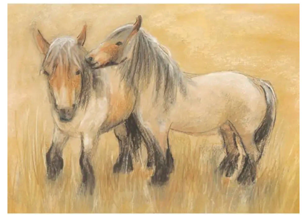Belgian Horses 1 postcard- 95254357