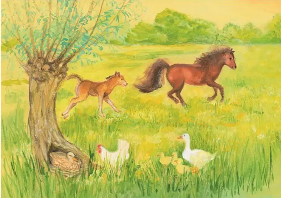 Skittish Foal in the Meadow 1 postcard-95254466