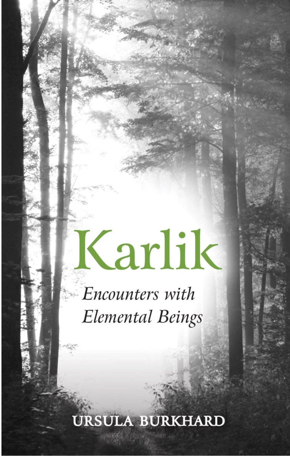 Karlik Encounters with Elemental Beings by Ursula Burkhard