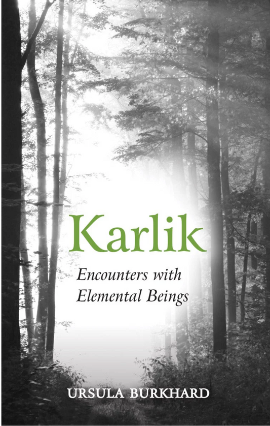 Karlik Encounters with Elemental Beings by Ursula Burkhard