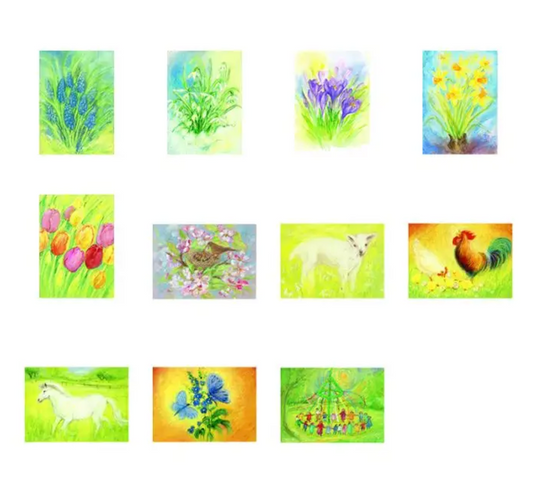 Spring and Summer I Assortment - 11 pieces-95305031