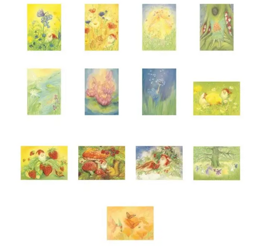 Nature and Mythical Creatures Assortment - 13 cards-95305050