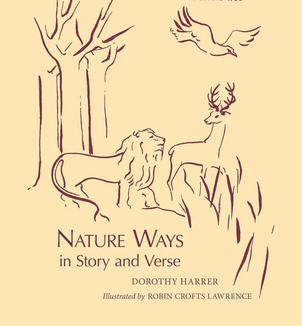 Nature Ways in Story and Verse If I Can See the World Around Me by Dorothy Harrer