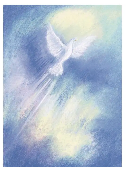 Spirit 1 postcard-95254331