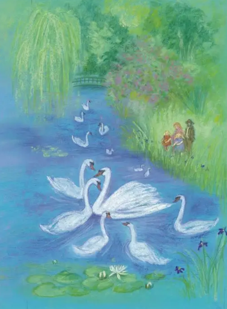 The New Swan 1 card-5254217