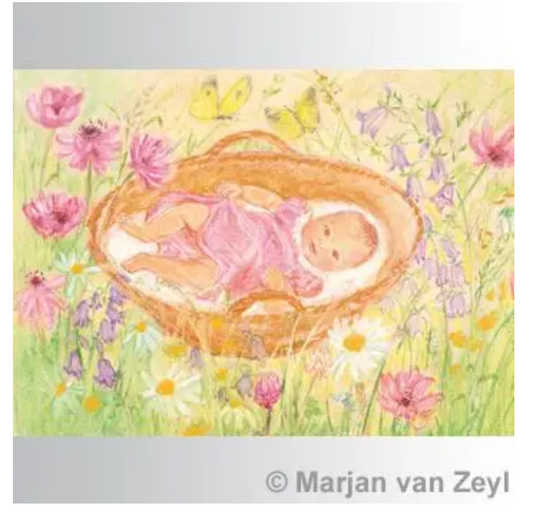 Baby in Basket 1 postcard-95254452